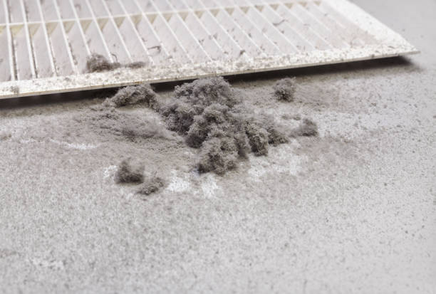 Best HVAC Air Duct Cleaning  in Nelsonville, OH
