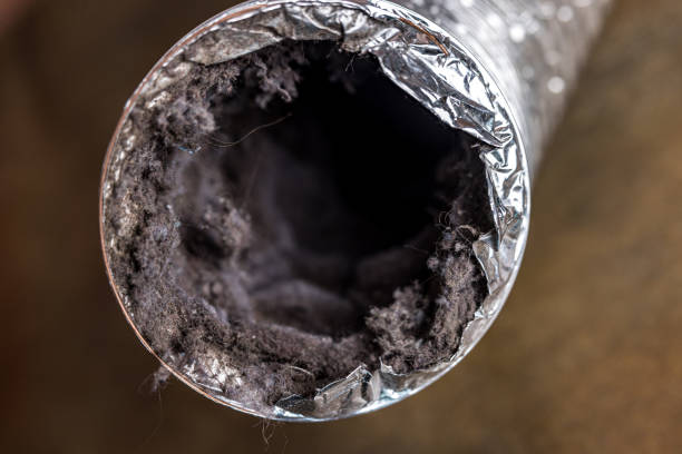 Best Local Air Duct Cleaning Services  in Nelsonville, OH