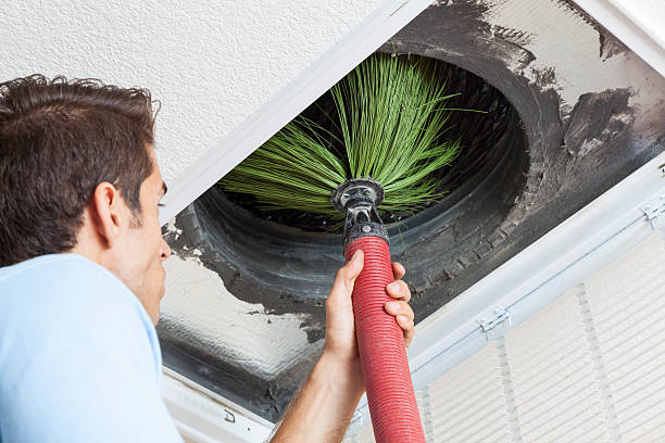 Best Air Duct Cleaning Near Me  in Nelsonville, OH